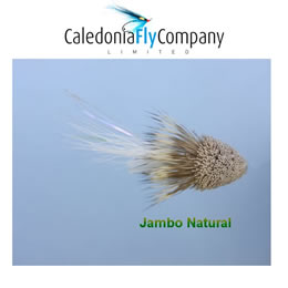 Caledonia Fly - Jambo Wake Fly - Plastic Tube