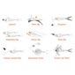 Duo V-Tail Shad 3" Image 9